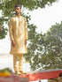 Vastramay Men's Beige Banarasi Jacquard Kurta
